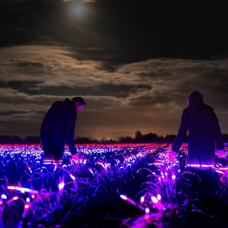 roosegaarde/Instagram