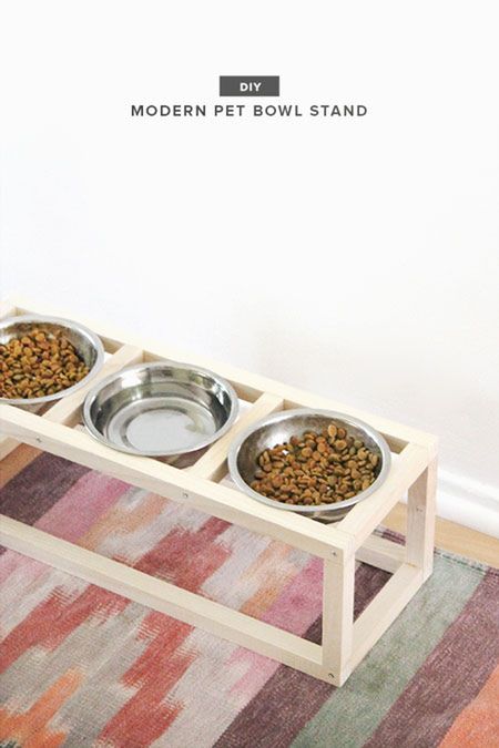 Modern Pet Bowl Stand