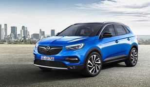 Opel Grandland X (2017) - pierwsze zdjęcia premierowe