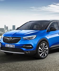 Opel Grandland X (2017) - premiera największego SUV-a w gamie Opla
