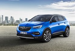 Opel Grandland X (2017) - premiera największego SUV-a w gamie Opla