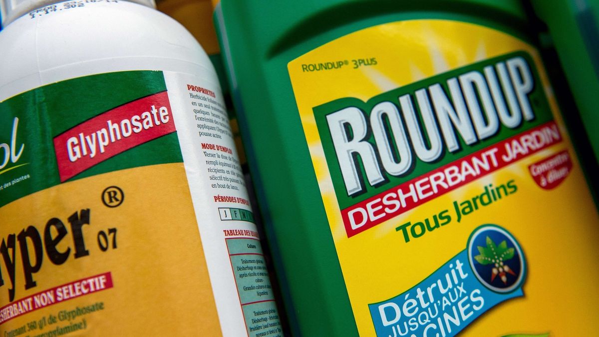 Składnik Roundupu, który wywołał raka, czyli glifosat jest najpowszechniej stosowanym w świecie środkiem chwastobójczym.