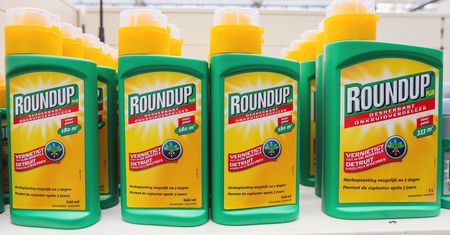 Sąd w USA: Roundup odpowiedzialny za wywołanie raka. Bayer zapłaci 80 mln dolarów odszkodowania