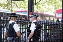 Ponad 6 tysięcy policjantów na ulicach Londynu