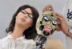 Pierwszy na świecie robot panda