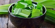 Pandan – azjatycka wanilia. Podkręci smak deserów i zup