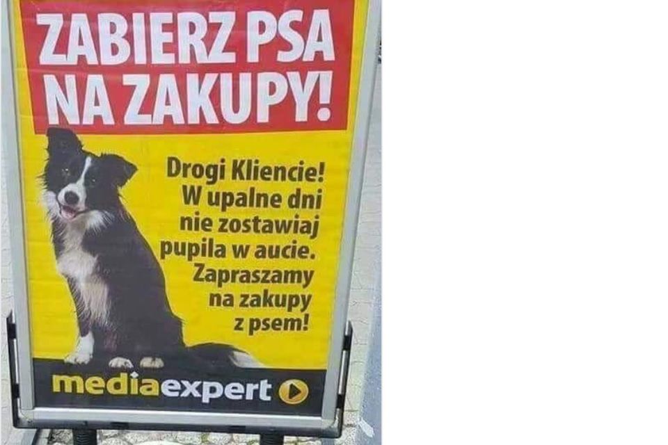 Nie zostawiaj psa pod sklepem. Sklepy rezygnują z tabliczki "zakaz wprowadzania psów"