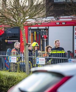 Holandia. Dwie eksplozje. Bomby w przesyłkach