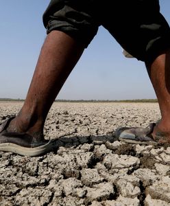 Rekordowe upały w Indiach. Temperatura przekroczyła już 50 stopni Celsjusza