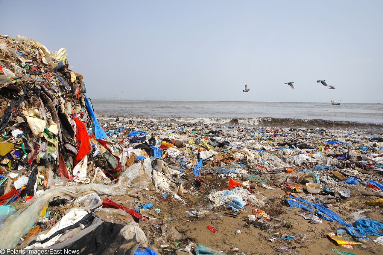 Egzotyczne plaże toną w śmieciach. Plastik jest coraz poważniejszym problemem