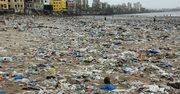 "Największe sprzątanie świata" w Indiach. Efekt przerósł najśmielsze oczekiwania