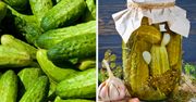 Jak wybrać idealne ogórki do kiszenia? O jednym szczególe często zapominamy