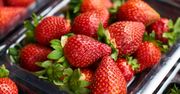 Jak przechowywać truskawki? Kluczowe znaczenie mają zielone szypułki