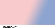 Raport Pantone: kolory roku 2016