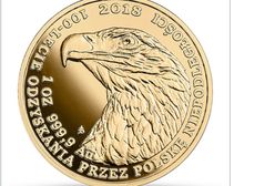 NBP uczcił odzyskanie przez Polskę niepodległości monetą kolekcjonerską. "Bielik" już w sprzedaży