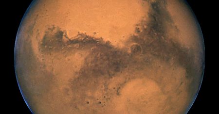 Mars. Skamieniałe owady i gady na zdjęciach? Naukowiec ma teorię