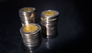 Płacisz nimi codziennie. Co wiesz o polskich banknotach i monetach?