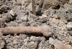 Szczątki i bagnet w Brzegu