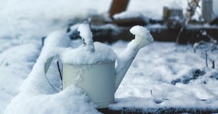 Ogródek "społeczny" jak wychodek dla psów. Koszt? 10 tysięcy złotych