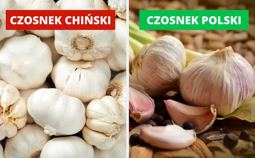 Jak odróżnić polski czosnek od chińskiego? Jeden z nich jest o wiele zdrowszy