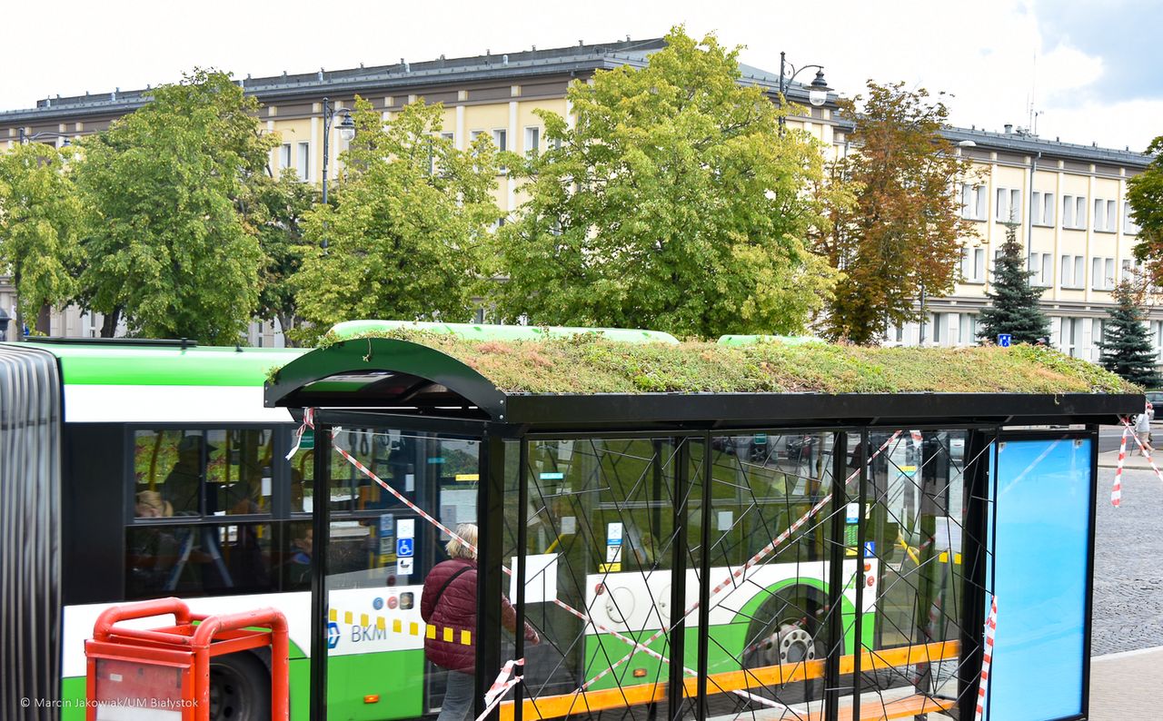 Warszawa. Zielone przystanki coraz bliżej