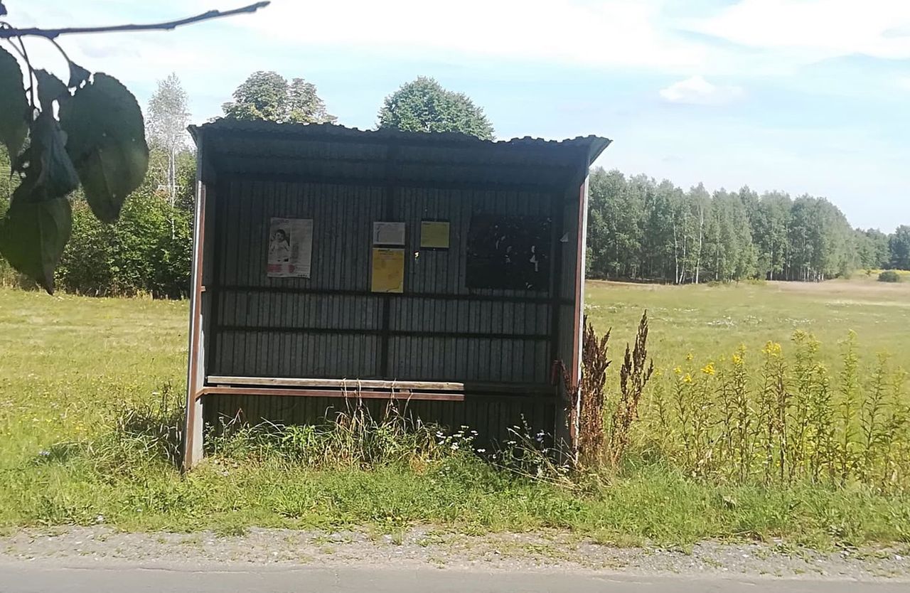 Nie śpiesz się, nie ucieknie. Niełatwo ruszyć w Polskę autobusem 