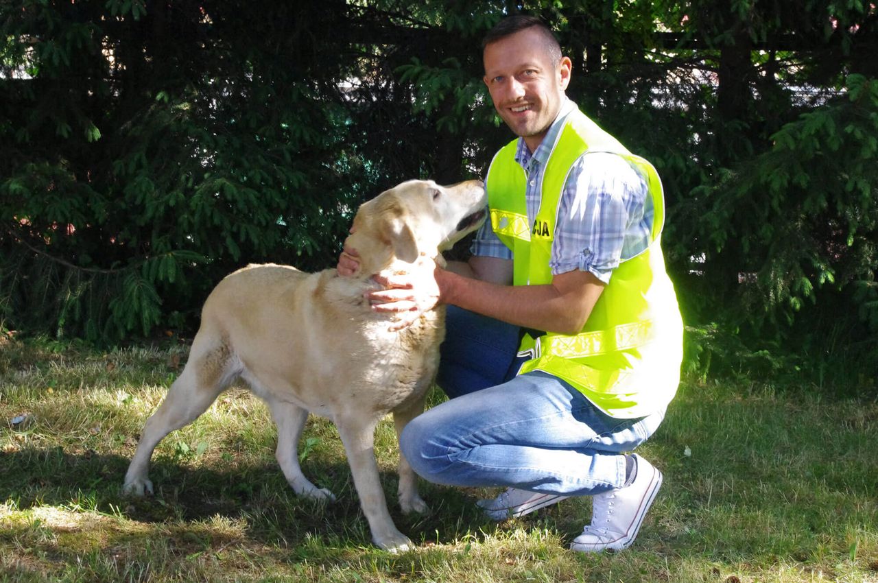 Pies Nela rozpoczął pracę