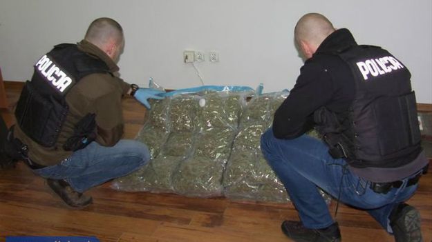 25 kg marihuany o wartości ponad miliona złotych przejęte przez policję