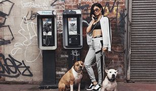 Kylie Jenner w Nowym Jorku. Druga odsłona kampanii Puma