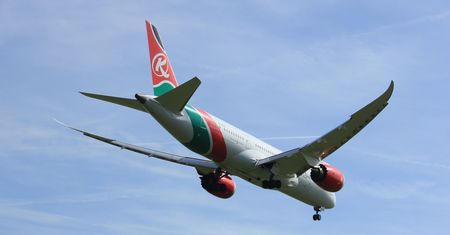 Wypadł z samolotu boeing 787 do ogródka w Londynie. Poruszające zdjęcie