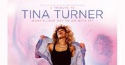 Tina Turner - Trasa Koncertowa 2020 What’s Love Got To Do With It