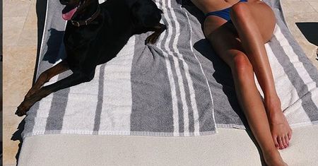 Kendall Jenner nie upilnowała psa. Ugryzł dziecko