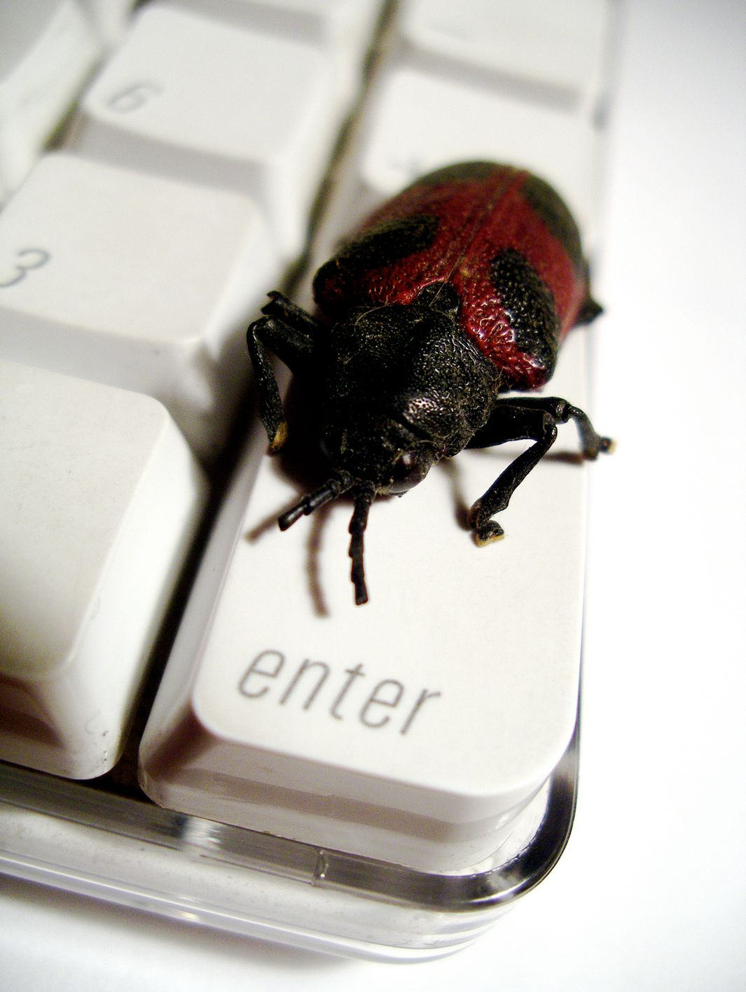 Rok 2010 rokiem cyberzagrożeń?