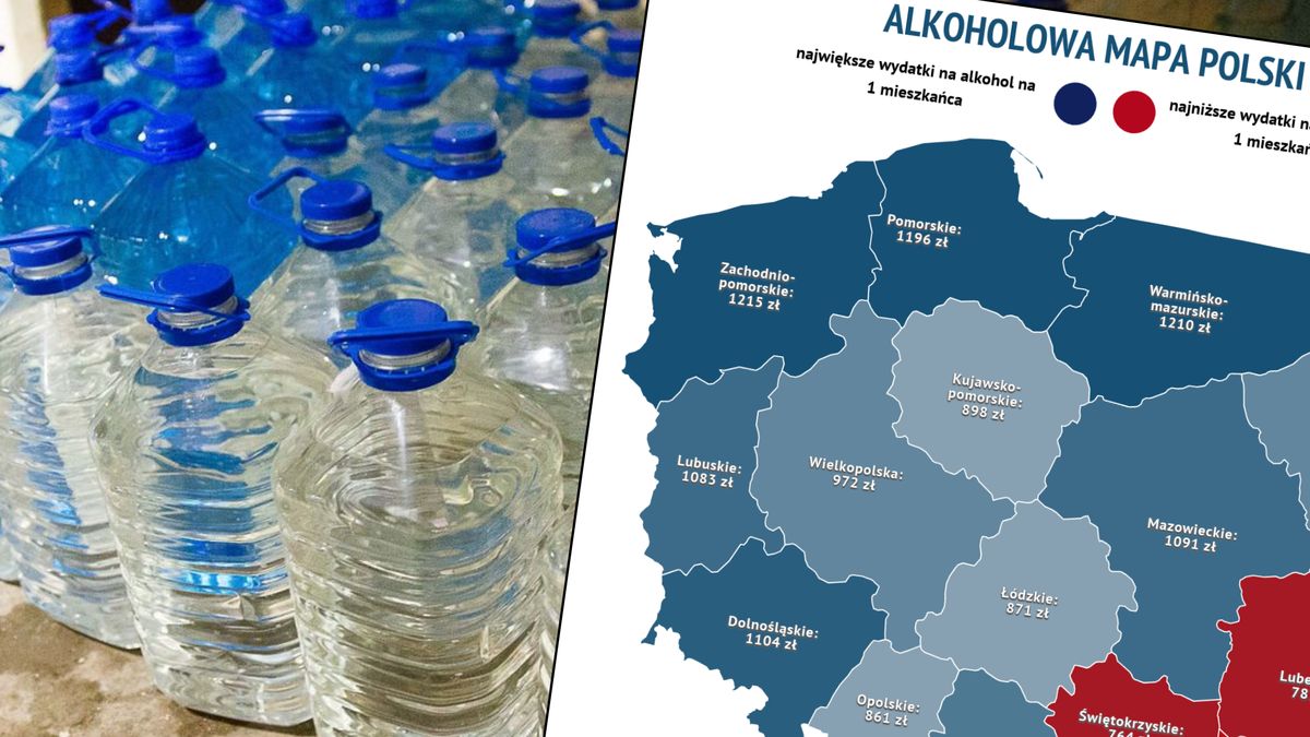Służby regularnie chwalą się rozpracowywaniem nielegalnych bimbrowni na wschodzie Polski.