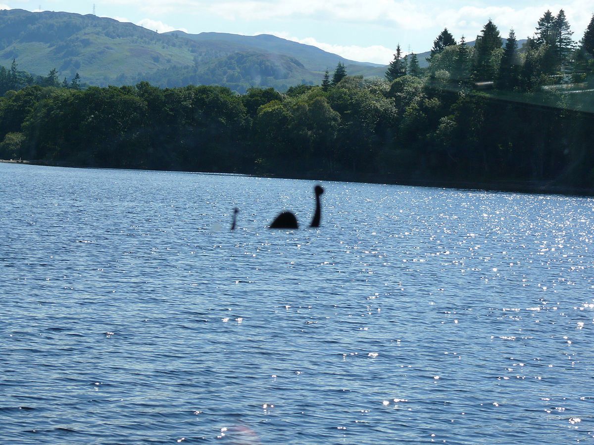 Potwór z Loch Ness - tajemnica wyjaśniona. Genetycy znaleźli odpowiedź