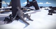 The Witness wreszcie daje znaki życia. Znamy datę premiery
