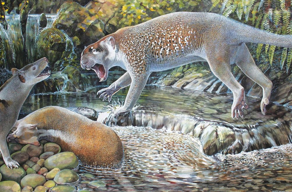 Znaleźli szczątki lwa sprzed milionów lat. To daleki krewny współczesnych kangurów