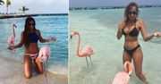 Flamingi pozamiatały w sieci. Dziewczyny nie mogą się opamiętać