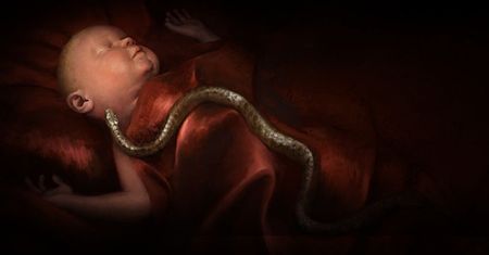 Zapowiedziano Crusader Kings 3