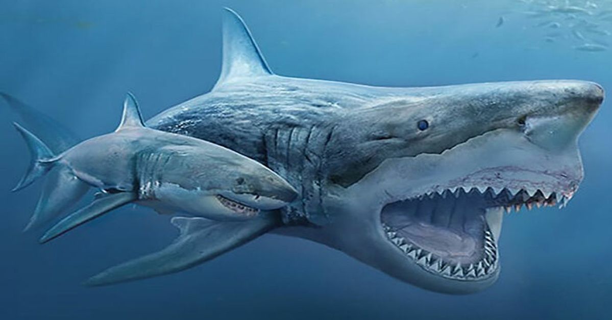 20 Animals and Their Prehistoric Ancestors – A Spectacular Comparison of Their Size