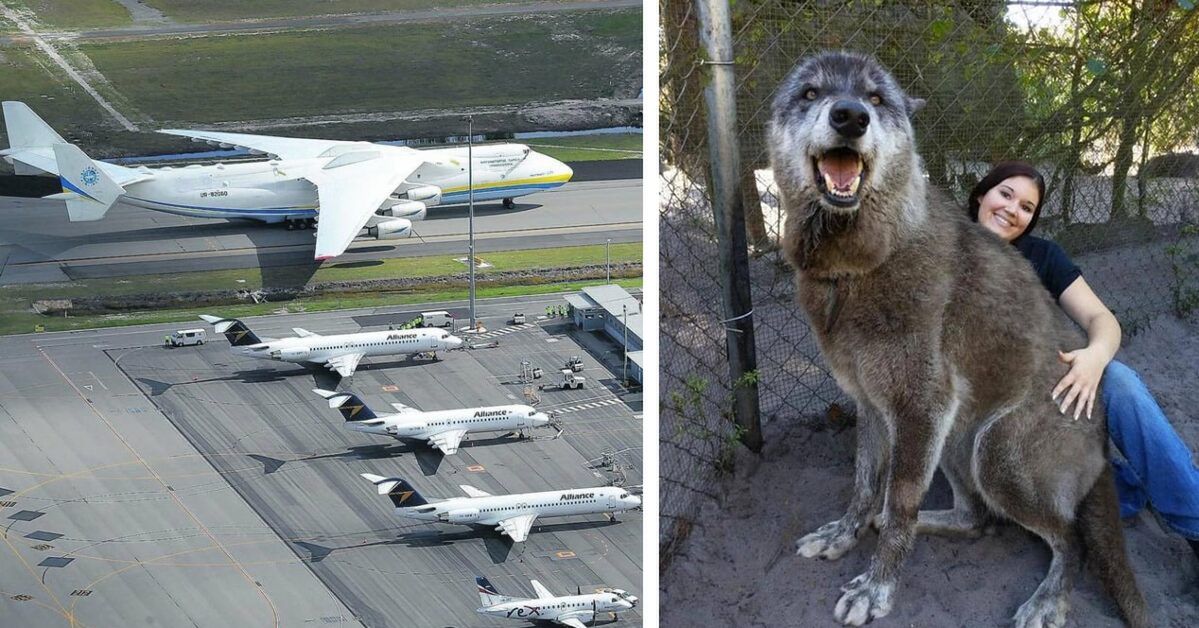 21 Signs that Size Does Matter and There's No Shortage of Amazing Objects in the World