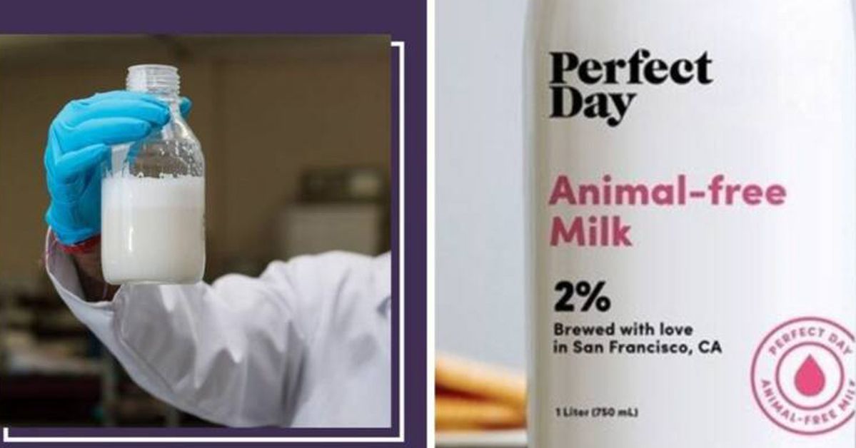 An American Company Has Created Milk That Has Got Nothing to Do With Cows. Is That Possible?