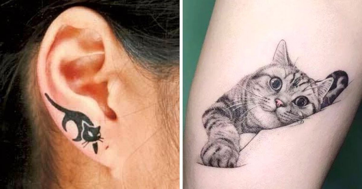 32 Stunningly Original Tattoos. And It’s All About Cats…