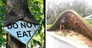 20 wyjątkowych zdjęć, które pokazują, że natura rządzi się swoimi prawami