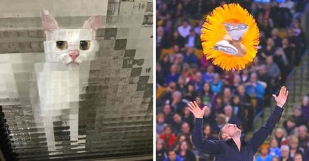 17 hipnotyzujących zdjęć zrobionych w odpowiednim momencie. Bez photoshopa