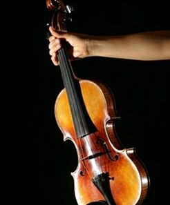 Skrzypce za milion dolarów