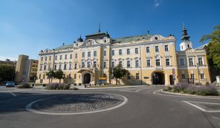 Zebra pędząca ulicami. Uciekła za sprawą pijanych nastolatków