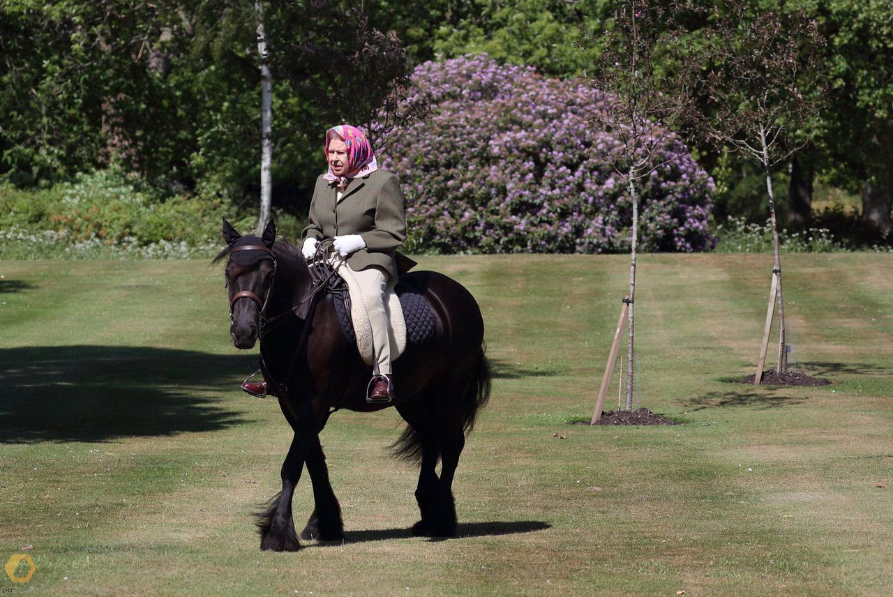 Królowa Elżbieta na koniu