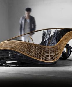 Phoenix: samochód z bambusa