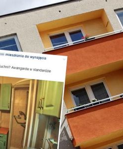 Sezon na wynajem mieszkań w pełni. W te ogłoszenia aż trudno uwierzyć